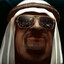 THE SHAKY SHEIKH