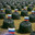подпивос