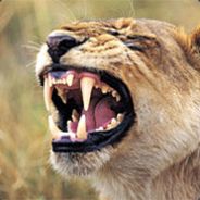 Lion_Teeth