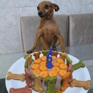 <font><face" Zz"=StArKs