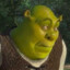 I&#039;m not Shrek