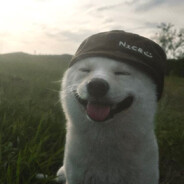 xisxisxis avatar