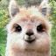 Alpaca#420