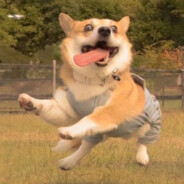 玩三角洲丧失全部手感