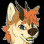 that dingo dude
