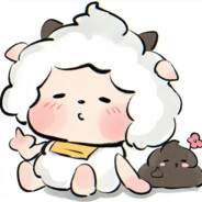 杜尼亚的小鲨鱼