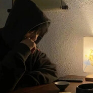 一纸樱花许风流