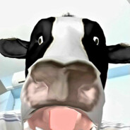 都是懂哥沒人懂哥