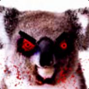 Angry Koala
