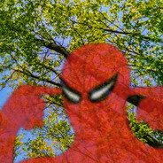 avatar LoopDeeLoops