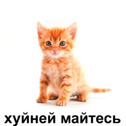 альтушка с услуг