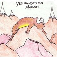Marmot - steam id 76561197971002707