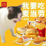 好想吃麦当劳