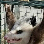 ХРАНИЛИЩЕ32