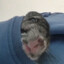 The Pum Sniffer