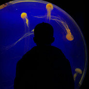 高端敌人常以队友身份出现