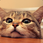 乜乜乜乜乜乜丶