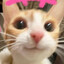 Pitrex