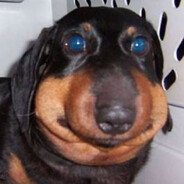 ДАНИЛ ЧУГУН