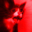 Miaou
