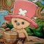 Tony Tony Chopper