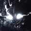 Night Fury