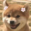 Xiaoqu