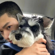 狗仗人势梁家硕