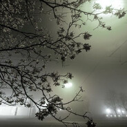 чья-то дочка