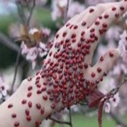 try hard egoist 2010