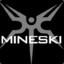 TEAM MINESKI