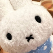 菲菲菲常美丽的巨兔12318