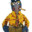 Player avatar