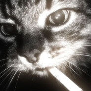 icekix TTV - steam id 76561198316213915