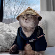 重生之我在世界最高城理塘抽电子烟