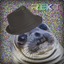 Seal Hyplex.co