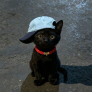 Pacho - steam id 76561199536202716