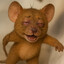 Mouse_Jerri