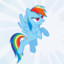 Rainbow Dash