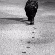 冲啊杀啊一个不留