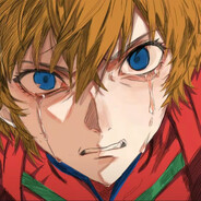 忧郁的双面龟王子