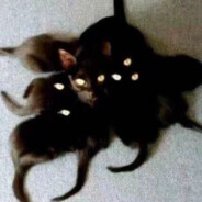 扣扣你的写轮眼