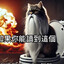 кiтуйский вафлiдрi's avatar