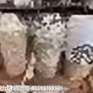 乱射还忘本[保持富态]