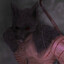 Wolfheart