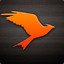 Vermillion Sparrow