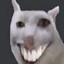 9medik