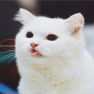 团结、精确、完美。