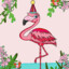 Funky Flamingo