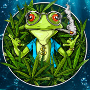Frog Steam avatar